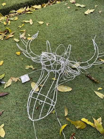 Photo of free Electric plug in reindeer (Cold Harbour OX1) #1