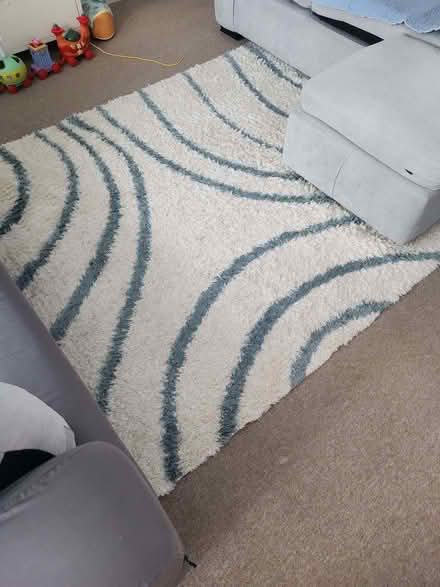 Photo of free Large shaggy rug (Seaside BN22) #1