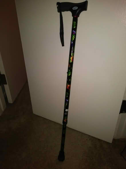 Photo of free Walking Cane (lower daly city) #1
