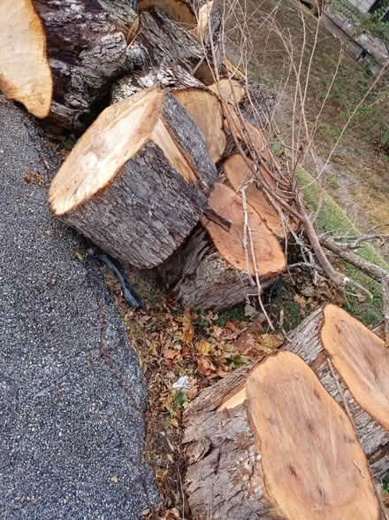 Photo of free Big wood (I-10 east, inside Loop 610) #1