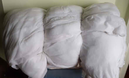 Photo of free Single duvet (Rodborough GL5) #1