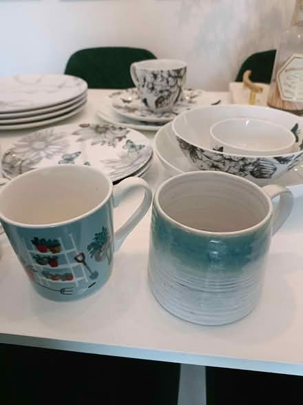 Photo of free Dinner plates and cups (Redhill RH1) #4