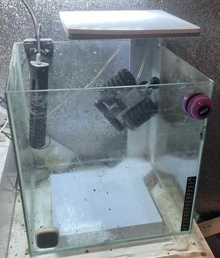 Photo of free 30L fish tank (Hounslow, TW5) #1