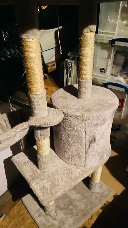 Photo of free Cat Play Stand (N13 Palmers Green) #2