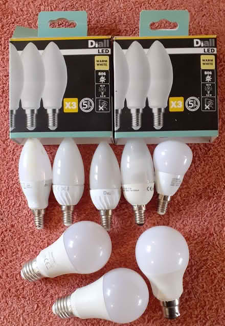 Photo of free Selection of light bulbs (Rodborough GL5) #1