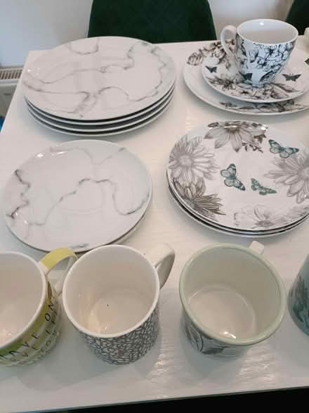 Photo of free Dinner plates and cups (Redhill RH1) #1