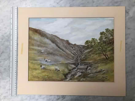 Photo of free Mounted print (Enfield N13 6) #1