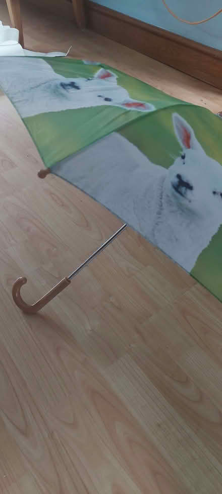 Photo of free Children's umbrella (Matlock DE4) #1