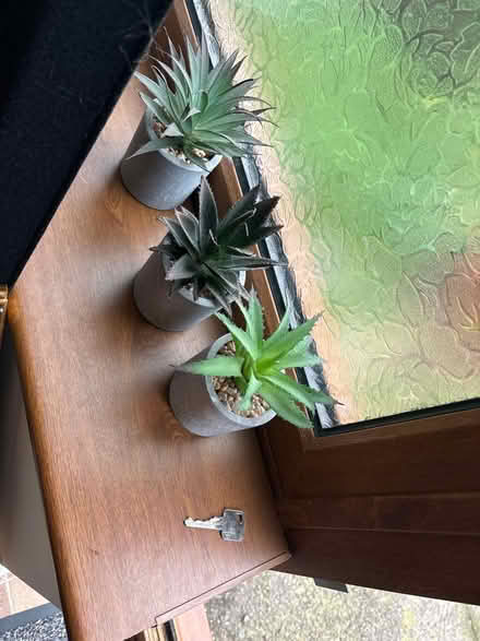 Photo of free Three small fake plants (LL14) #1