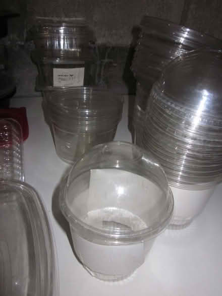 Photo of free containers (Fiorella's Newton by Waltham) #2