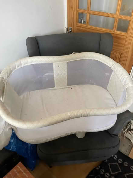 Photo of free Halo bassinet (Highgate N6) #1