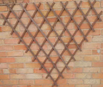 Photo of free Garden trellis (Derrington ST17) #1