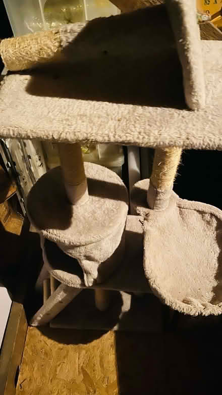 Photo of free Cat Play Stand (N13 Palmers Green) #3