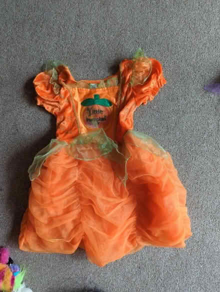 Photo of free Halloween dress age 3-4yrs (Surrenden BN1) #1