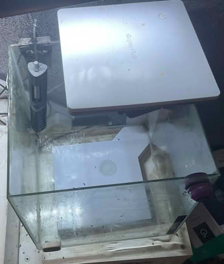 Photo of free 30L fish tank (Hounslow, TW5) #2