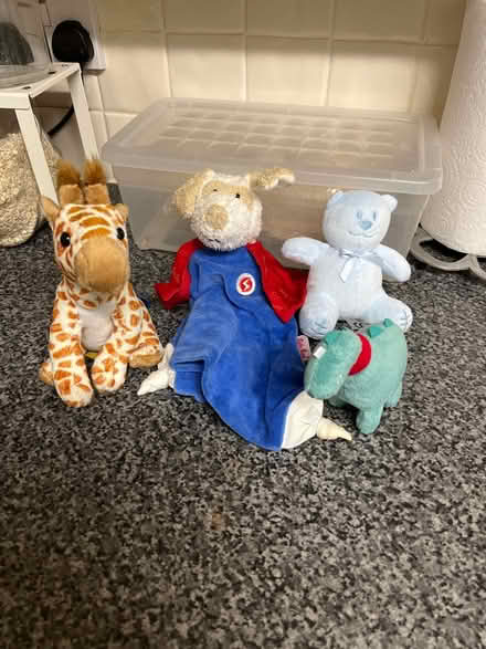 Photo of free Soft toys (Weston, crewe) #1