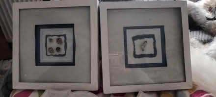 Photo of free Mirrors And framed art (CT15) #1