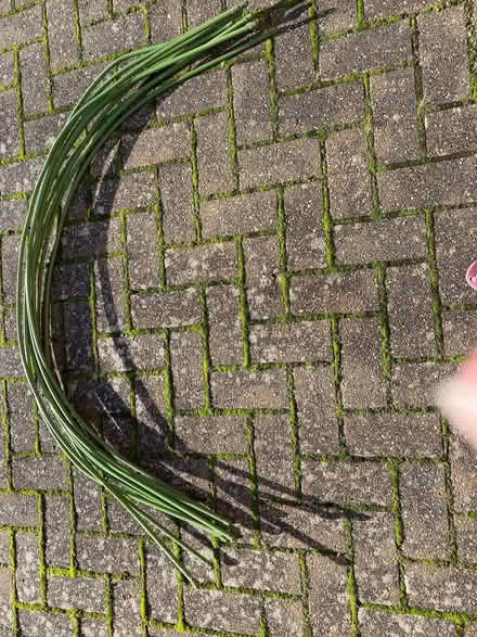 Photo of free Garden netting hoops (Willingdon BN22) #1
