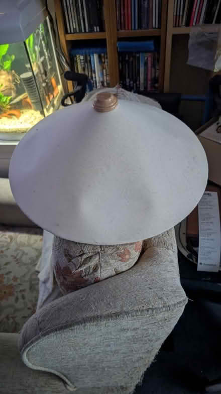 Photo of free Lamp Shades (Collier Row, Romford) #2