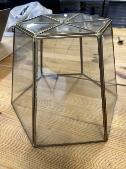 Photo of free Glass Cloche (Bethnal Green) #1