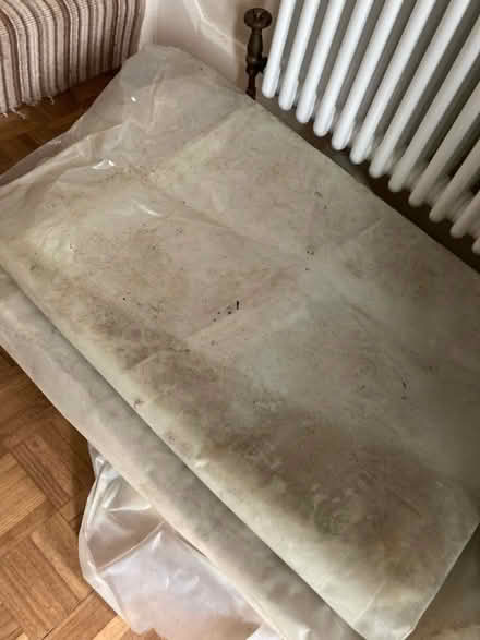 Photo of free Numerous quite large pieces of polythene (Clifton YO30) #1