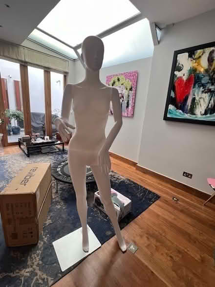 Photo of free Home Gym Equipment and Mannequin (Chelsea SW3) #4
