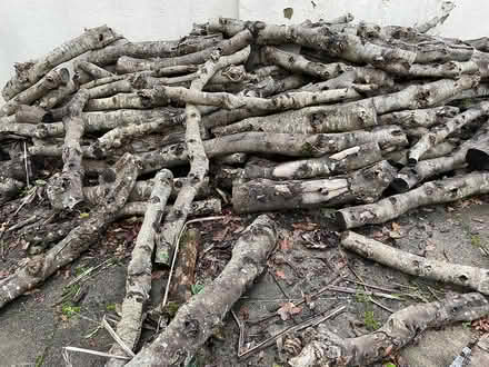 Photo of free firewood (TQ12 4SN) #1