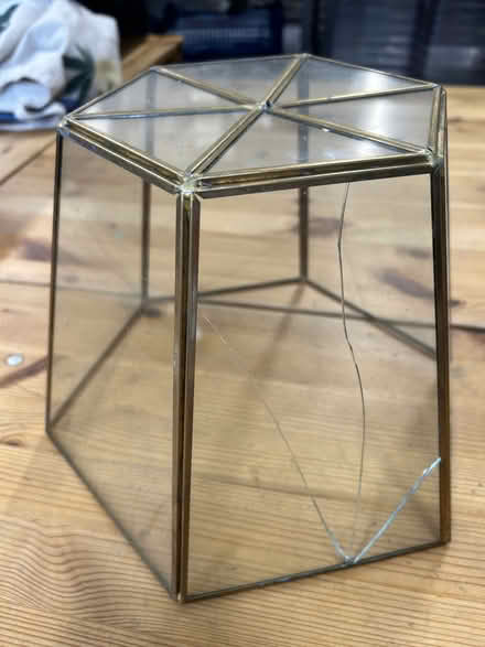 Photo of free Glass Cloche (Bethnal Green) #2