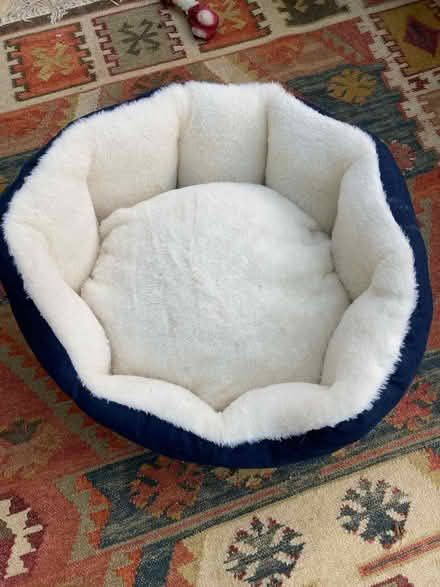 Photo of free Small dogs or cat bed (BN43) #1