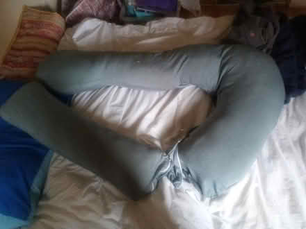Photo of free Some kind of maternity pillow (elverson road SE13) #1