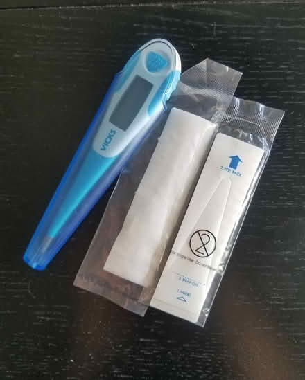 Photo of free Digital Thermometer (West Seattle) #1