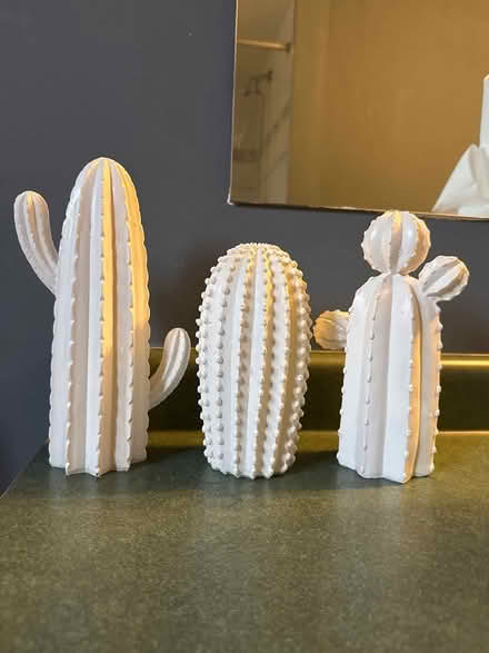 Photo of free Cacti decor (Markham) #1