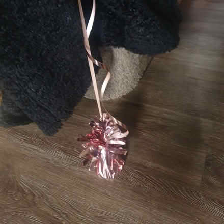 Photo of free 50th Birthday balloons (Leyland) #2