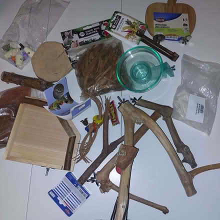 Photo of free New things for birds. (Endcliffe S10) #1