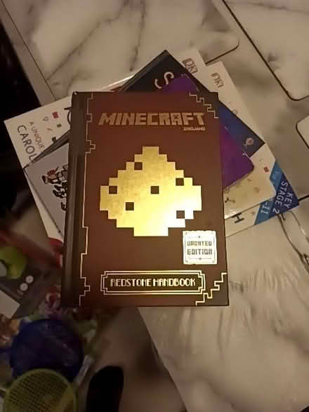 Photo of free Minecraft (BT13) #1