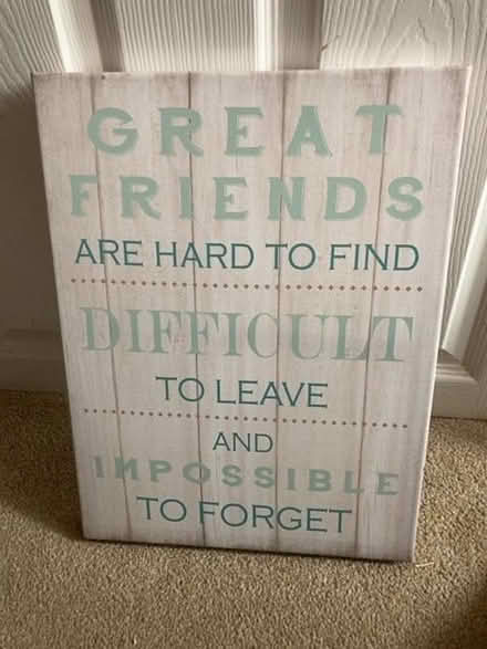 Photo of free Friend canvas (North Tonbridge TN10) #1