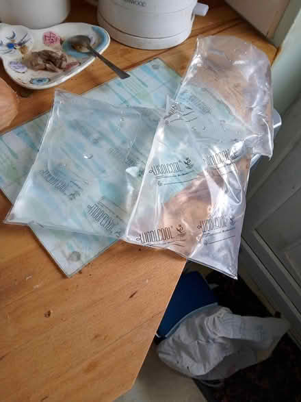 Photo of free freezer bags filled with water (BN17) #1