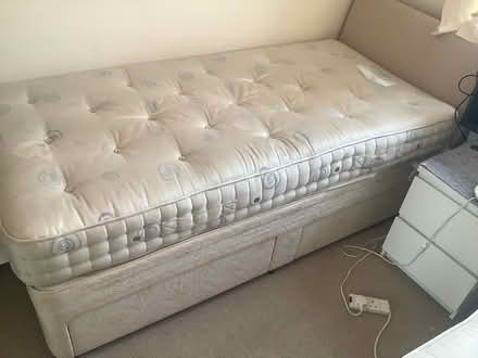Photo of free 3ft single bed (Seaside BN23) #1