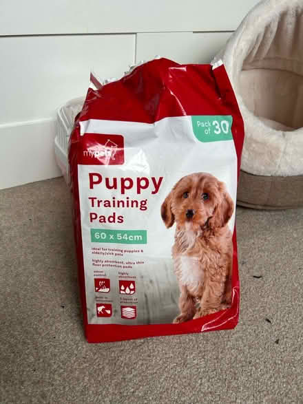 Photo of free Puppy training pads (Bishops Waltham SO32) #1
