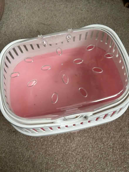 Photo of free Small animal carry case (Bishops Waltham SO32) #2