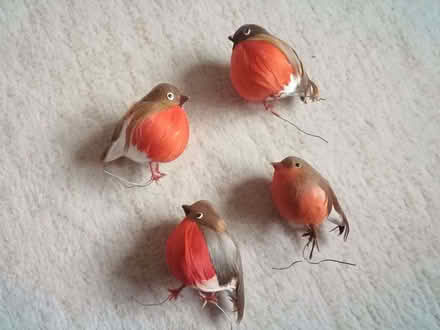 Photo of free Craft robins for wreath etc (GU9) #1