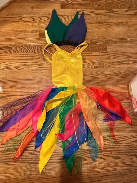 Photo of free Jester costume Child med/large (Cherrydale North Arlington VA) #1