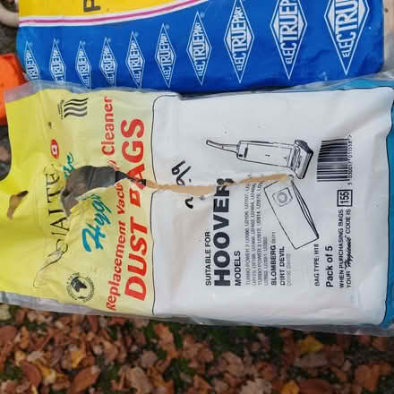 Photo of free Old, cheap, dirty upright hoover and/or bags (Endcliffe S10) #1