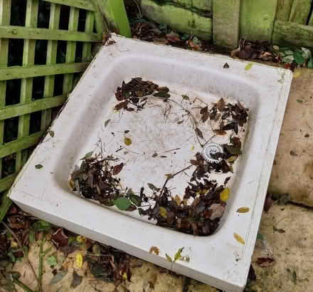 Photo of free Shower base/garden water station for wildlife (Hoole CH2) #1