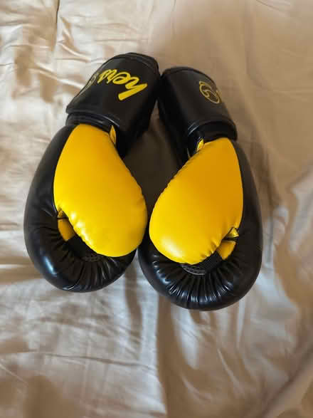 Photo of free Kickboxing gloves and wraps (Markham) #3