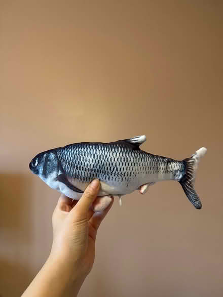 Photo of free Fish toy that moves (Markham) #1