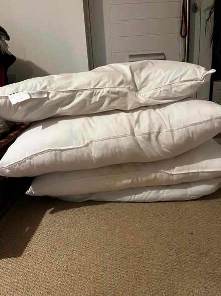 Photo of free Pillows (Keynsham) #1