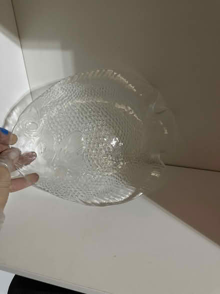 Photo of free Fish plate (Elmhurst area) #1
