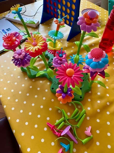 Photo of free Plastic flowers / gardening toy (Bromley / Hayes BR2) #4