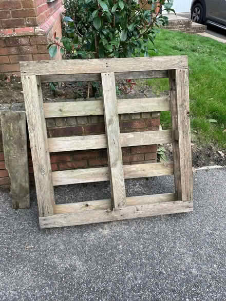 Photo of free Pallet (Filsham TN38) #1
